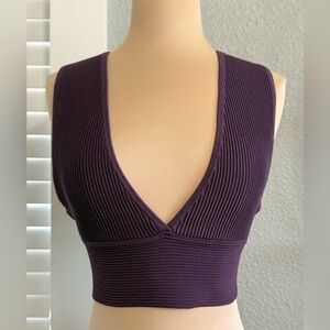 Aritzia Babaton Sculpt Knit Deep V-neck Ribbed Crop Top Size Medium